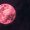 The Pink Moon 2024