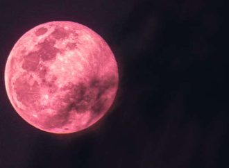 The Pink Moon 2024