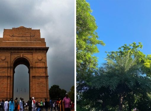 Delhi Records Best Air Quality of the Year After Historic Rainfall