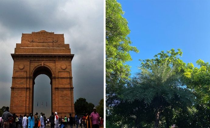 Delhi Records Best Air Quality of the Year After Historic Rainfall